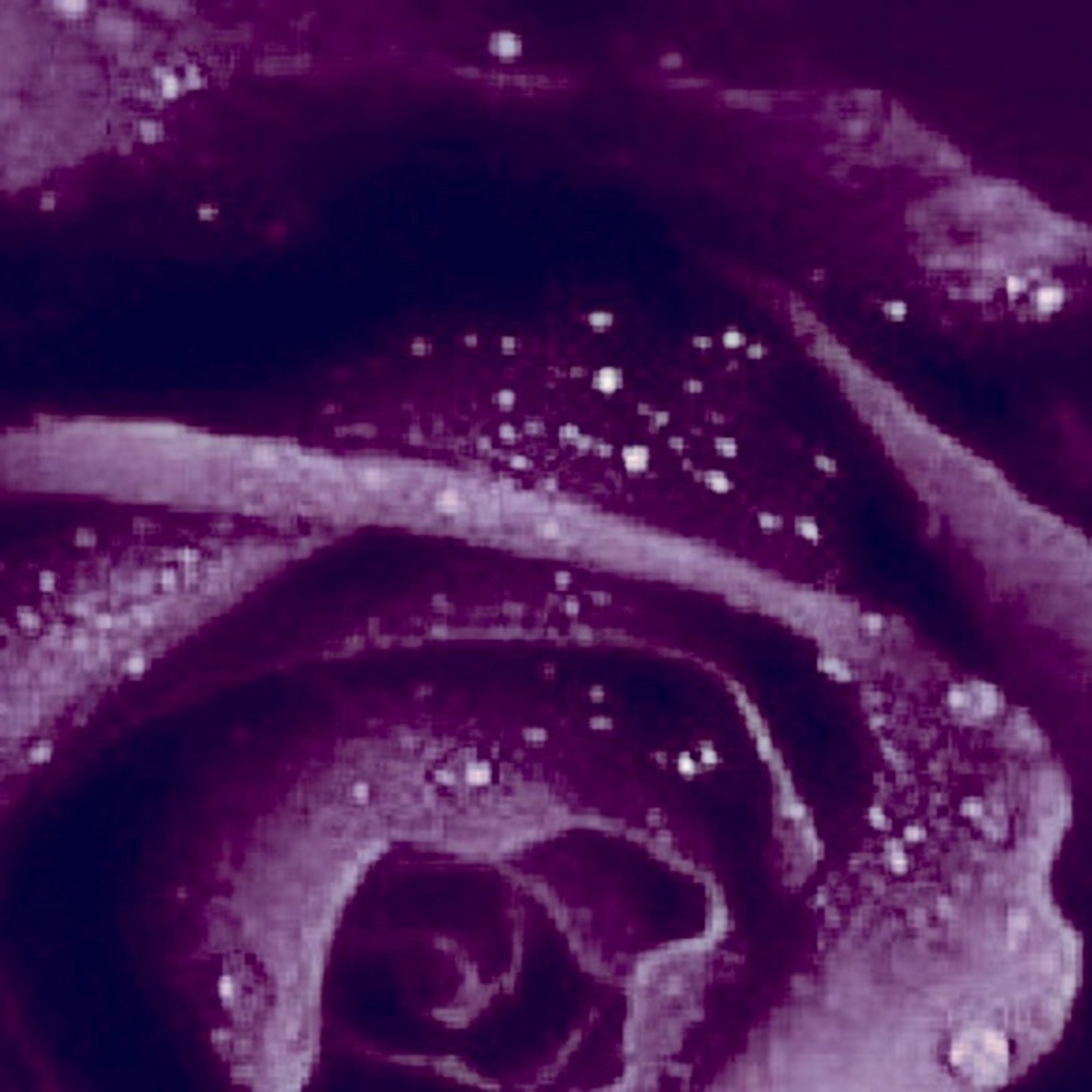 Meet your Posher, Felecia